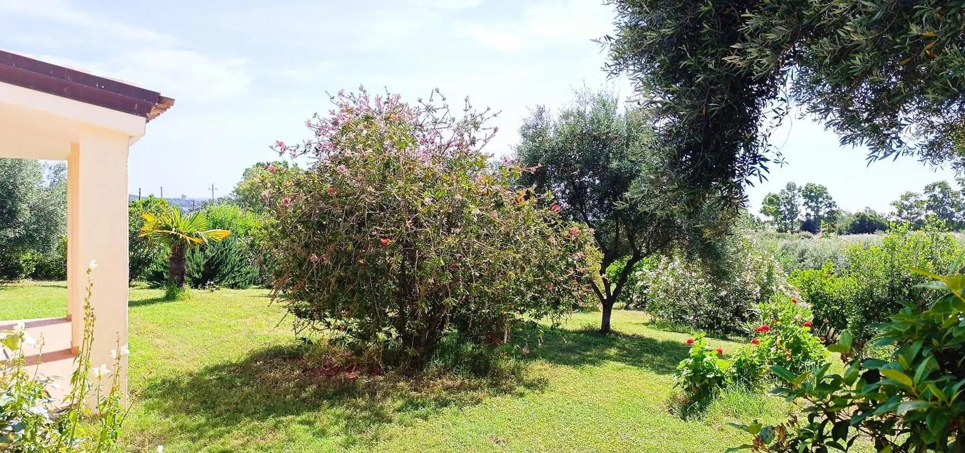 Sa Teria Village - Appartamenti - Tertenìa