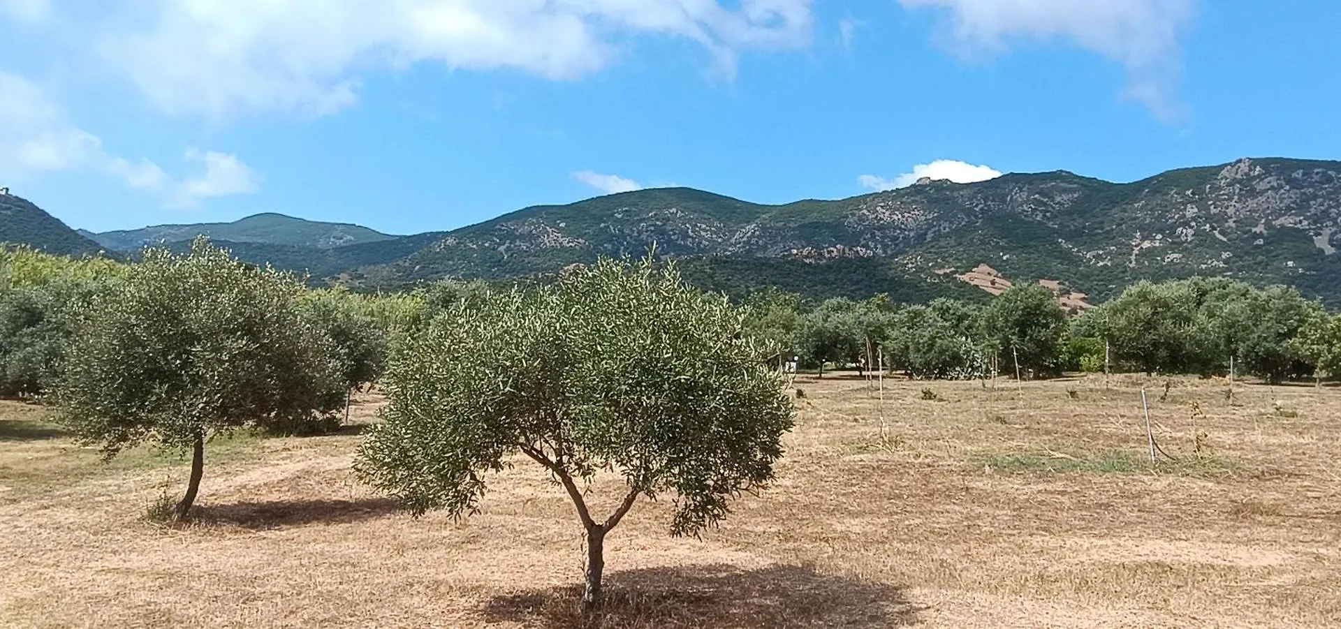 Sa Teria Village - Appartamenti - Tertenìa Appartement